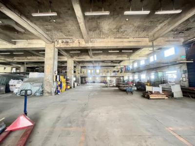 芝蘭段, Sanzhi Dist., 新北市 252, 台灣