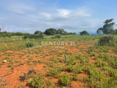 北安段, Hukou Township, Hsinchu County 303, Taiwan