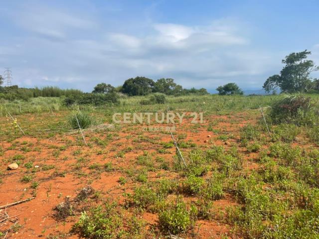 北安段, Hukou Township, Hsinchu County 303, Tajwan