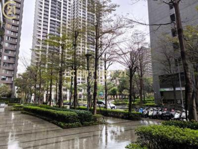 福美街, Xinzhuang Dist., Nouveau Taipei 242, Taïwan