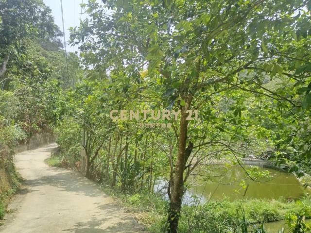 大坪林段, Саньвань, Уезд Мяоли 352, Тайвань