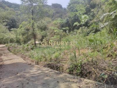 大坪林段, Саньвань, Уезд Мяоли 352, Тайвань