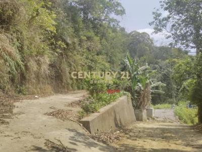 大坪林段, Саньвань, Уезд Мяоли 352, Тайвань