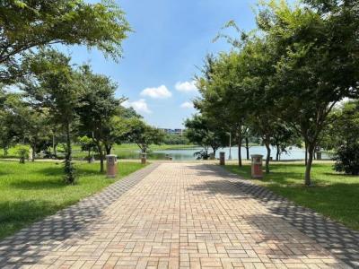 興德路, 大園區, Taoyuan 337, Taïwan