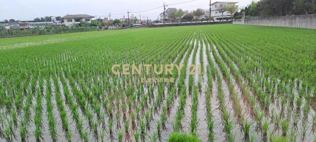 新七賢段, Yuanshan Township, Yilan 264, Taiwán