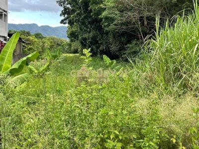 東華段, Shoufeng Township, Hualien County 974, 대만