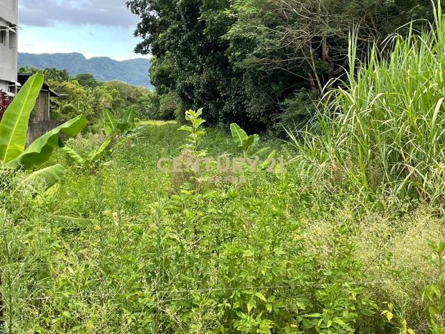 東華段, Shoufeng Township, Hualien County 974, Taiwan