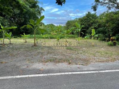 路內段, Shoufeng Township, Hualien County 974, 대만