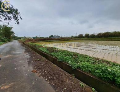 藍埔段, 觀音區, Taoyuan City 328, Taiwan