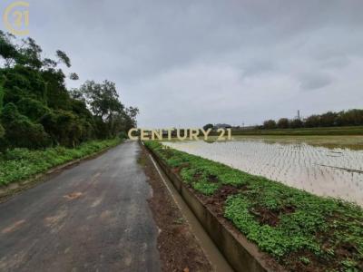 藍埔段, 觀音區, Taoyuan 328, Taiwán