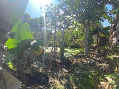 新群一段, Luodong Township, Yilan 265, Taiwan