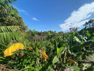 新群一段, Luodong Township, Yilan 265, Taiwan