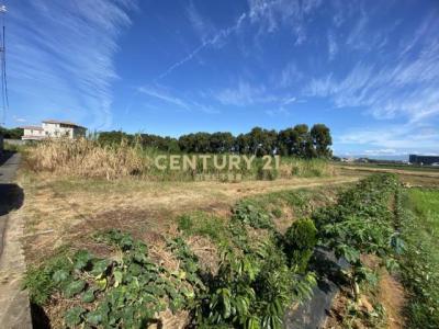 高榮段, 楊梅區, Taoyuan 326, Taïwan