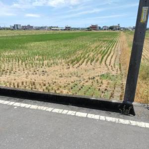 壯東段, Zhuangwei Township, Yilan 263, Taiwan