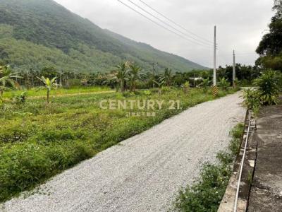 路內段, Ji'an Township, Hualien County 973, 대만