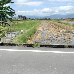 壯東段, Zhuangwei Township, Yilan City 263, Taiwan