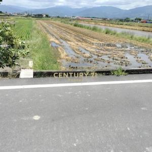 壯東段, Zhuangwei Township, Nghi Lan 263, Đài Loan