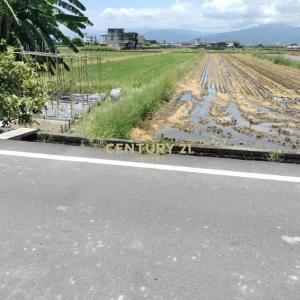 壯東段, Zhuangwei Township, Nghi Lan 263, Đài Loan