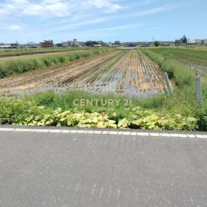 壯東段, Zhuangwei Township, Yilan 263, Taiwán