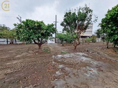 國聖段, Annan Dist., 타이난 709, 대만