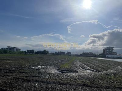 壯志段, Zhuangwei Township, Yilan City 263, Taiwan