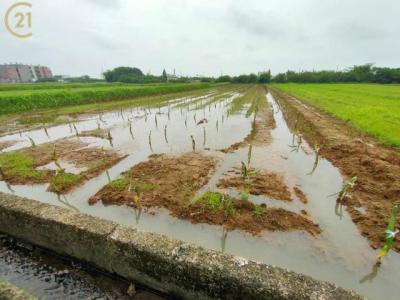 石磊子段水流小段, 新屋區, Taoyuan City 327, Taiwan