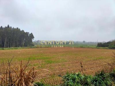 埔頂段水碓小段, 新屋區, Taoyuan City 327, Taiwan
