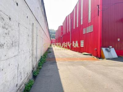 望間路, 新屋區, Taoyuan 327, Taiwan