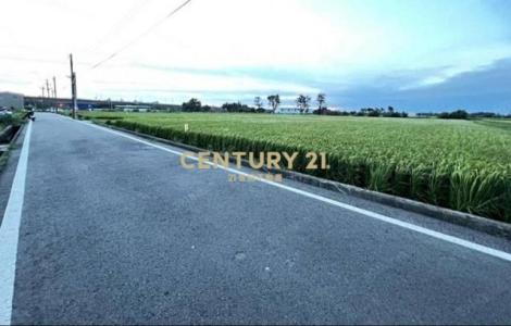 崁頭厝段崁頭厝小段, 新屋區, Taoyuan 327, Taïwan