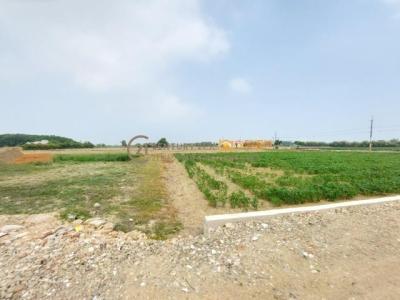 華興路, 新屋區, Таоюань 327, Тайвань