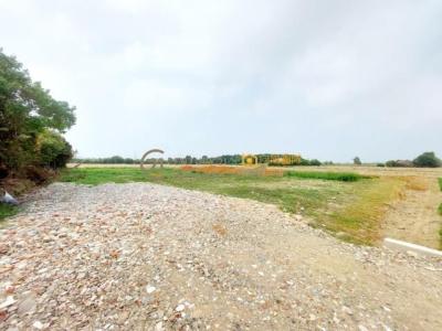 華興路, 新屋區, Таоюань 327, Тайвань