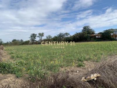 崁頭厝段崁頭厝小段, 新屋區, Taoyuan 327, Taïwan