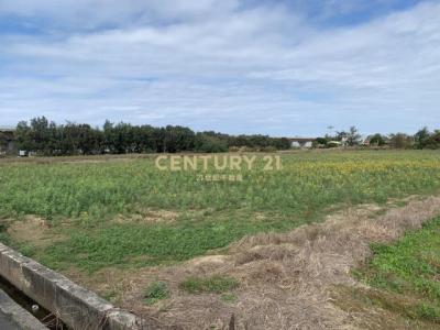崁頭厝段崁頭厝小段, 新屋區, Taoyuan 327, Taïwan