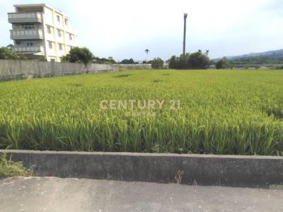 北投埔段, Цаотунь, Уезд Наньтоу 542, Тайвань