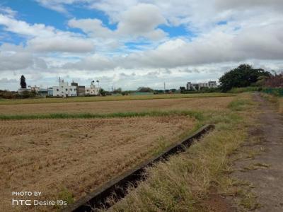 過嶺路二段, 中壢區, Taoyuan 320, Taiwán