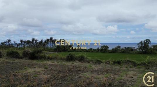 北八里段, Donghe Township, Taitung County 959, Taiwan