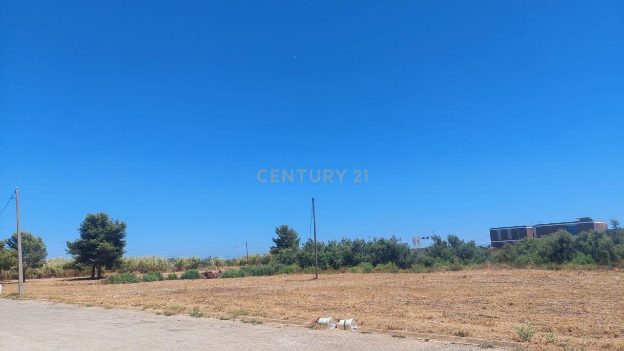 Faro, Faro 8005-000, Portogallo