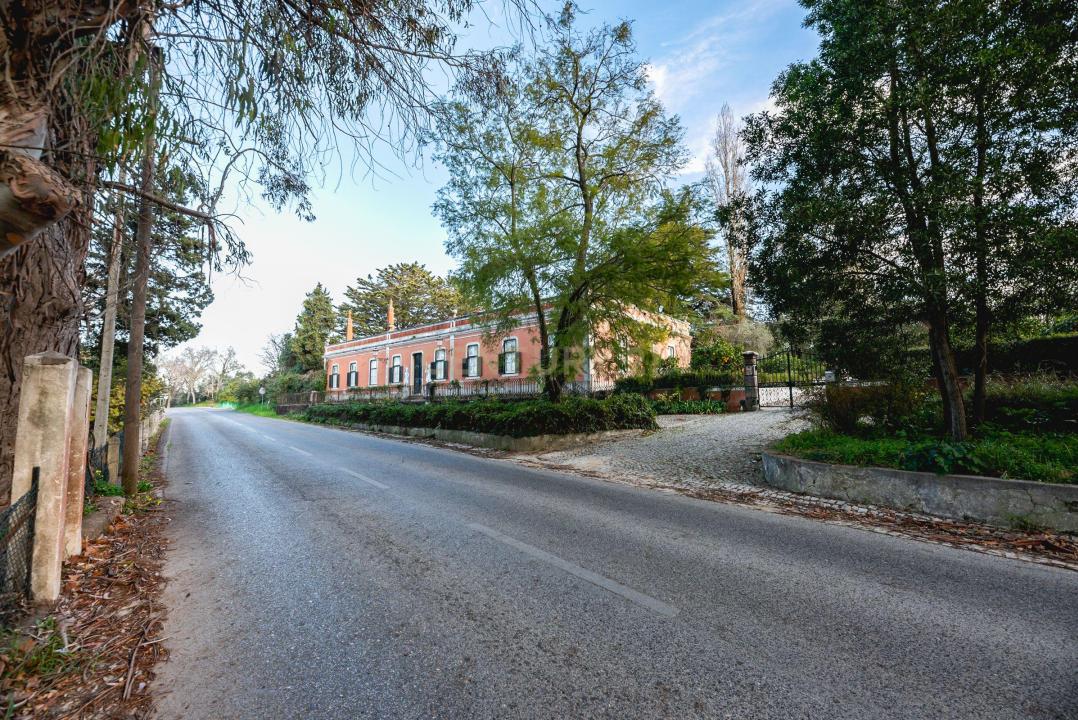 세투발, 세투발 2925-776, 포르투갈