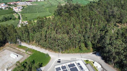 Trofa, بورتو 4480-572, البرتغال