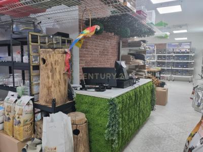 Almada, Setubal 2810-012, Portugal