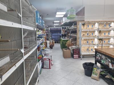 Almada, Setúbal 2810-012, Portugal