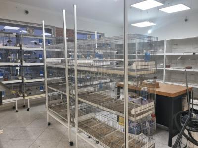 Almada, Setúbal 2810-012, Portugal