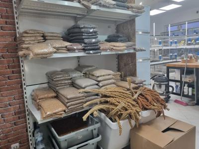 Almada, Setúbal 2810-012, Portugal