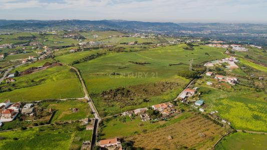 Arruda Dos Vinhos, Lisbon 2630-435, Portugal