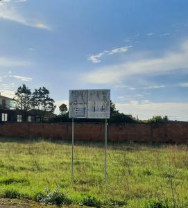 Vagos, Aveiro 3840-239, Portugal