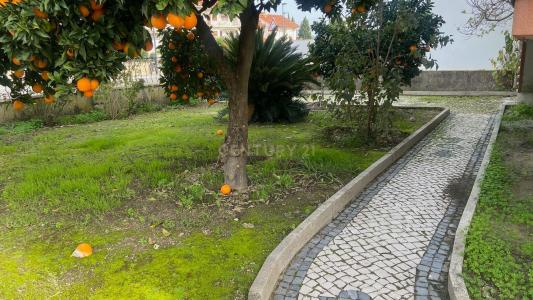 布朗库堡区, 布朗库堡区 6005-061, 葡萄牙