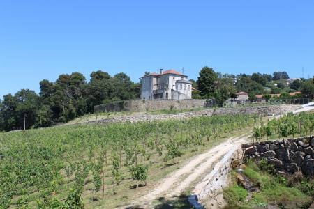 Santo Tirso, Porto 4780-098, Portekiz