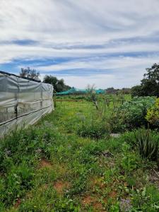Fundão, Castelo Branco 8100-075, Portugal