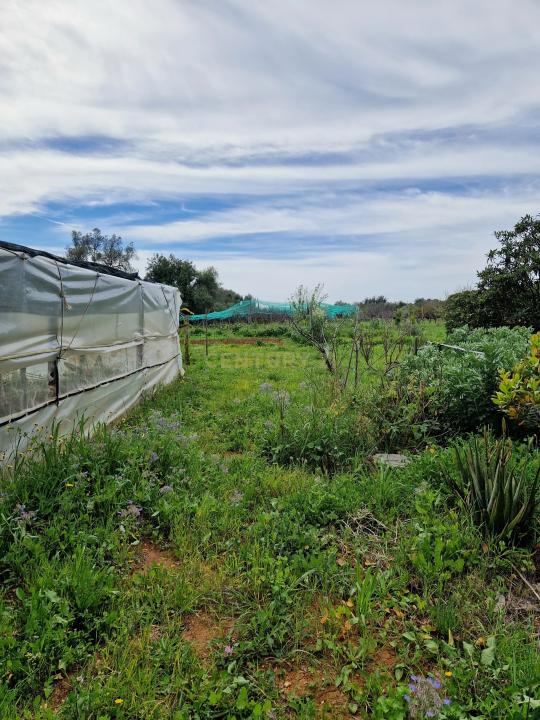 Fundão, カステロ・ブランコ 8100-075, ポルトガル