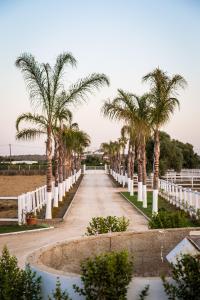 Olhão, Faro 8700-061, Portugal